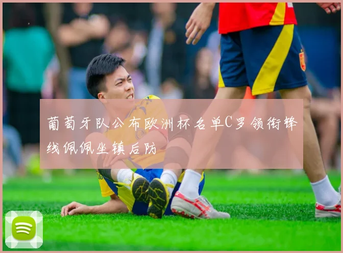 葡萄牙队公布欧洲杯名单C罗领衔锋线佩佩坐镇后防