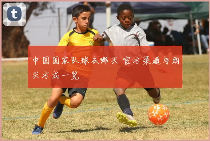 中国国家队球衣哪买 官方渠道与购买方式一览