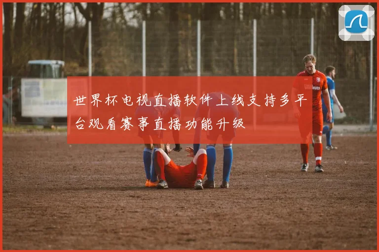 世界杯电视直播软件上线支持多平台观看赛事直播功能升级