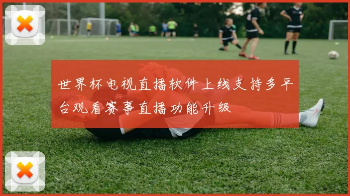 世界杯电视直播软件上线支持多平台观看赛事直播功能升级